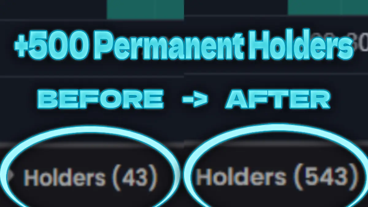 Solana Holder Bot 2026 – Real permanent holders increase on DexScreener Raydium Pump.fun Before and After